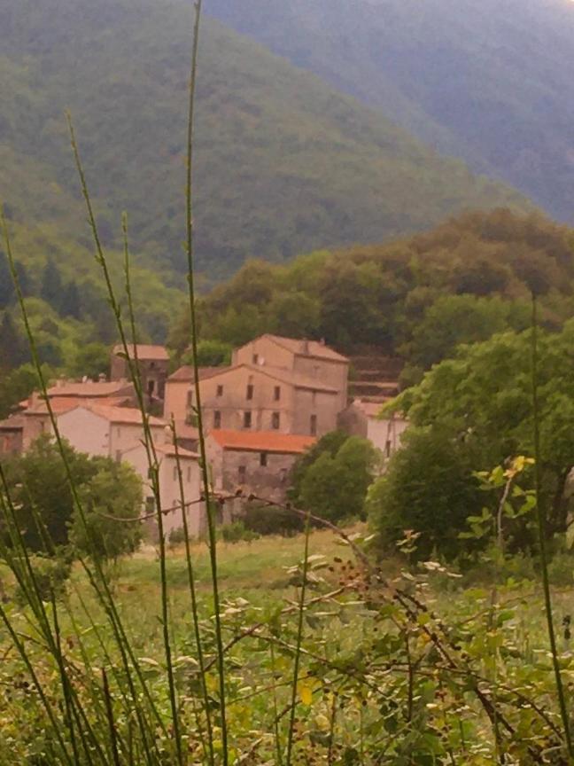 Grande Maison Cevenole Authentique Валлерог Екстер'єр фото
